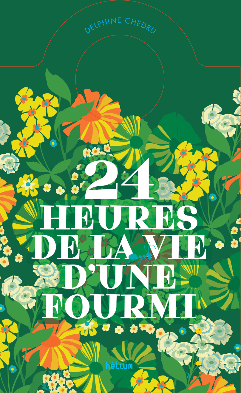 24h dans la vie dune fourmi.jpg